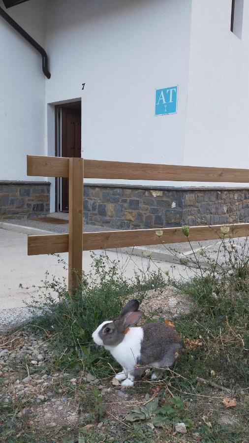 Casa Cotefablo Aloj Sorrosal Gavin Biescas 아파트 외부 사진
